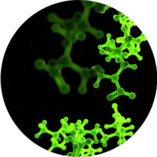 L-Arginine HCL