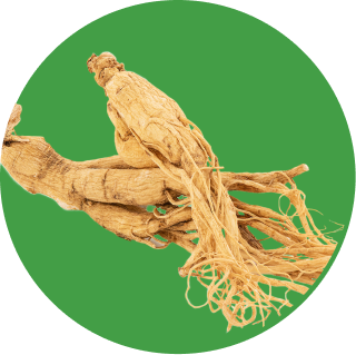 GINSENG